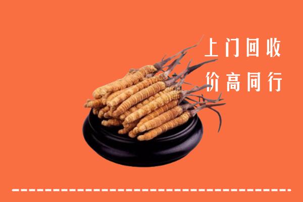 固始县回收冬虫夏草